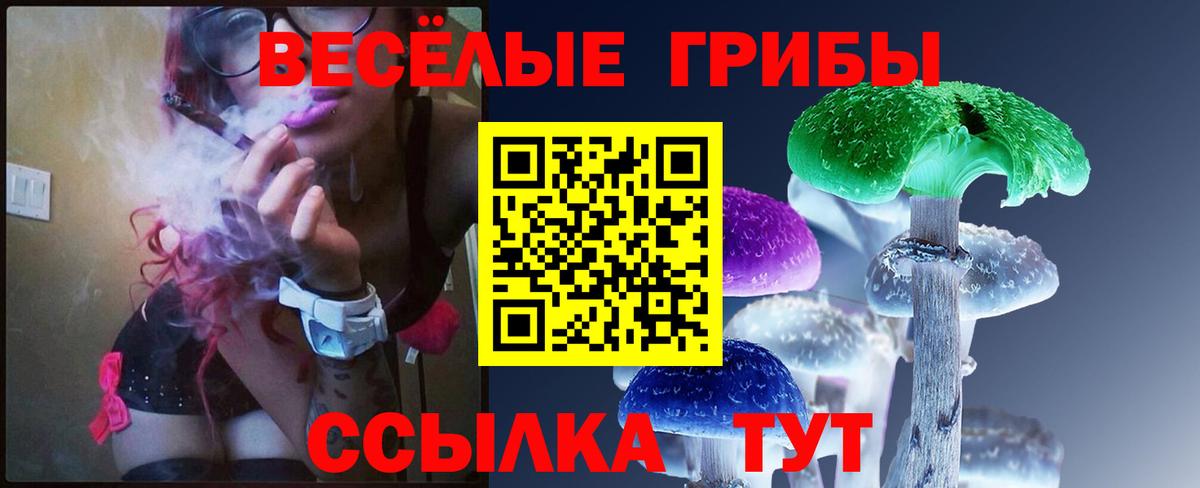 Троицк  Псилоцибиновые грибы MAGIC MUSHROOMS  Вход с VPN  купить   Галлюциногенные грибы мицелий 